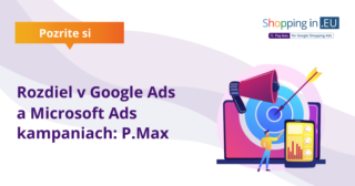 grafika - Rozdiel Google Ads a Microsoft Ads P.MAx