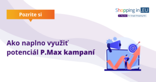 Ako naplno využiť potenciál P.Max kampaní